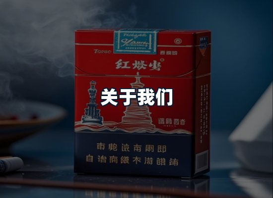 关于我们